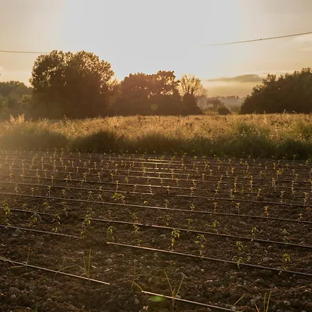 Agri Charme Tenuta Picilli-3